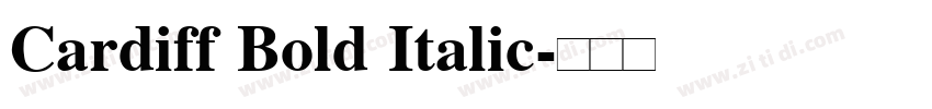 Cardiff Bold Italic字体转换